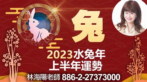 2023 水兔年